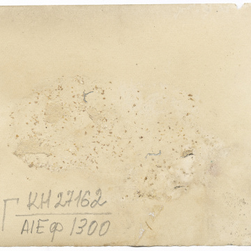 Весільне фото