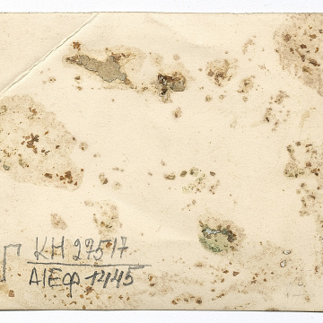 Дві дівчини у вишитих сорочках та двоє хлопців, один у вишитій сорочці під верхнім одягом