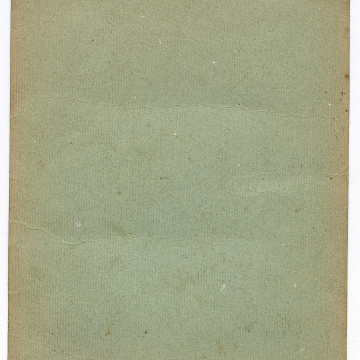 Group wedding photo against a green background