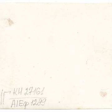 Групове весільне фото