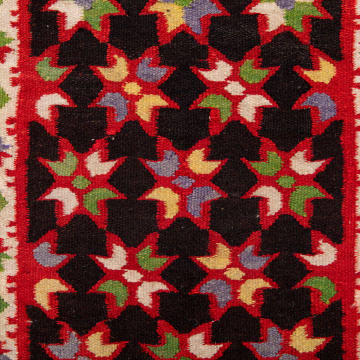 Carpet zapaska (apron)