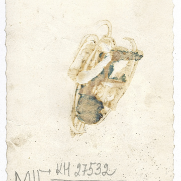 Весільна пара