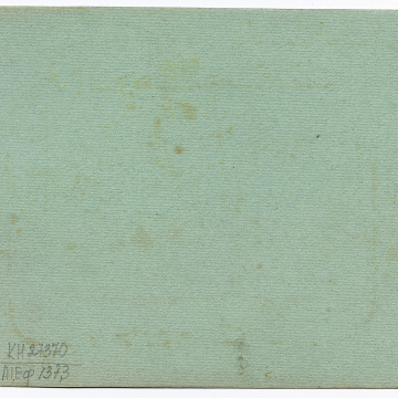 Group wedding photo against a green background