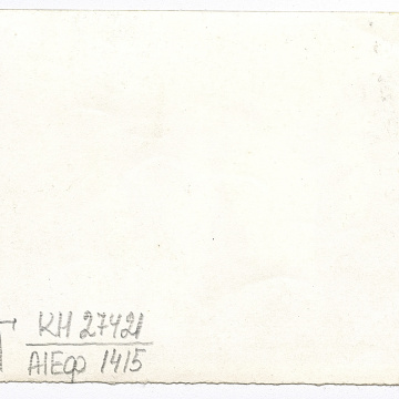 Wedding costumed performers