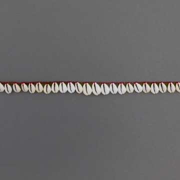 Cowrie shell necklace