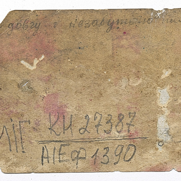 Bust portrait of two girls in traditional attire