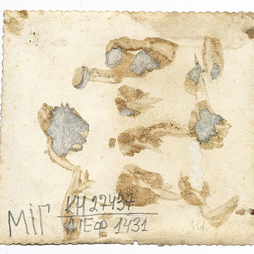 Весільний гурт