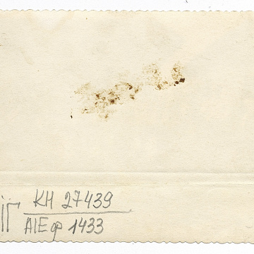 Гурт жінок у народному вбранні та чоловік-гармоніст