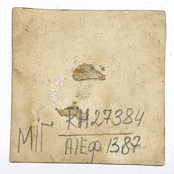 Woman in traditional attire