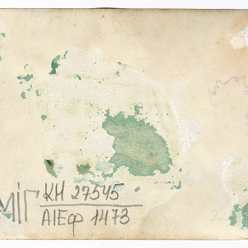 Group photo with a woman in traditional attire and a man belted with rushnyky