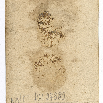 Bust portrait of a young man in a peaked cap