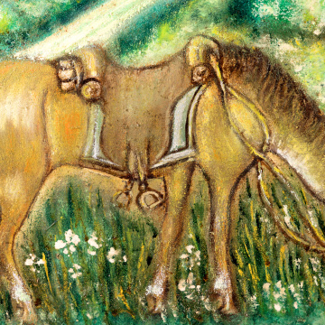 Meeting near the wattle