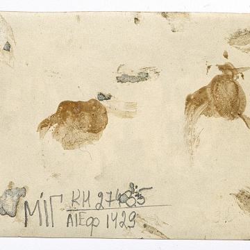 Троє чоловіків, один у вишитій сорочці, один у військовій формі, та чотири жінки, троє у народному вбранні