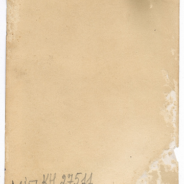 Весільна пара