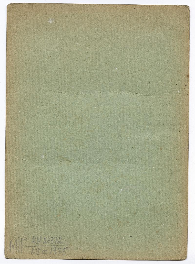 Group wedding photo against a green background