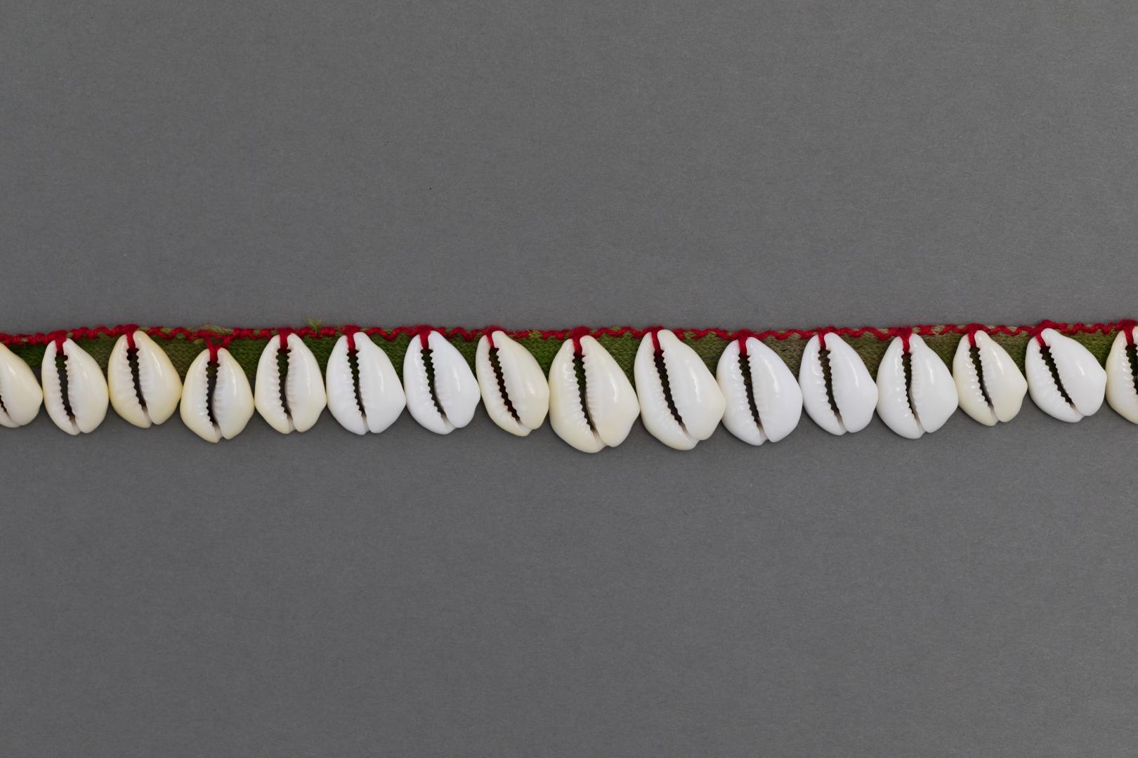 Cowrie shell necklace