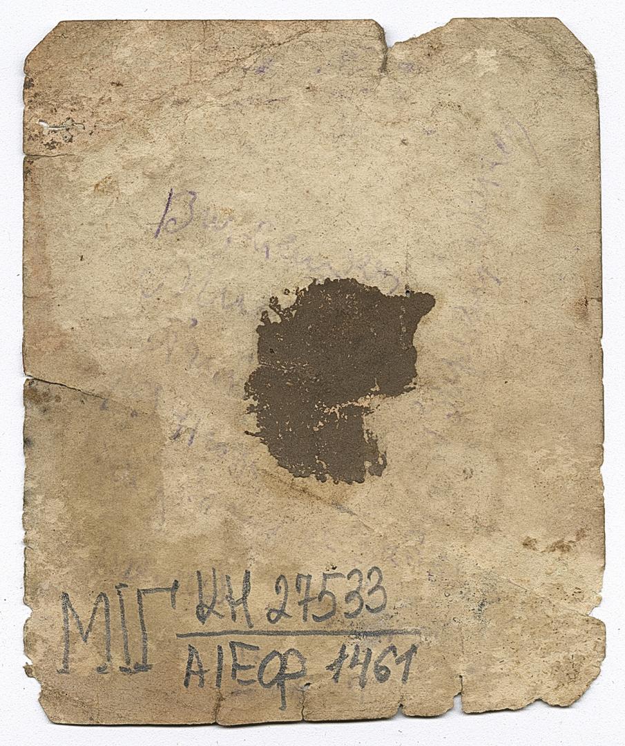 Групове фото, серед людей дівчина та дівчинка у традиційних прикрасах 