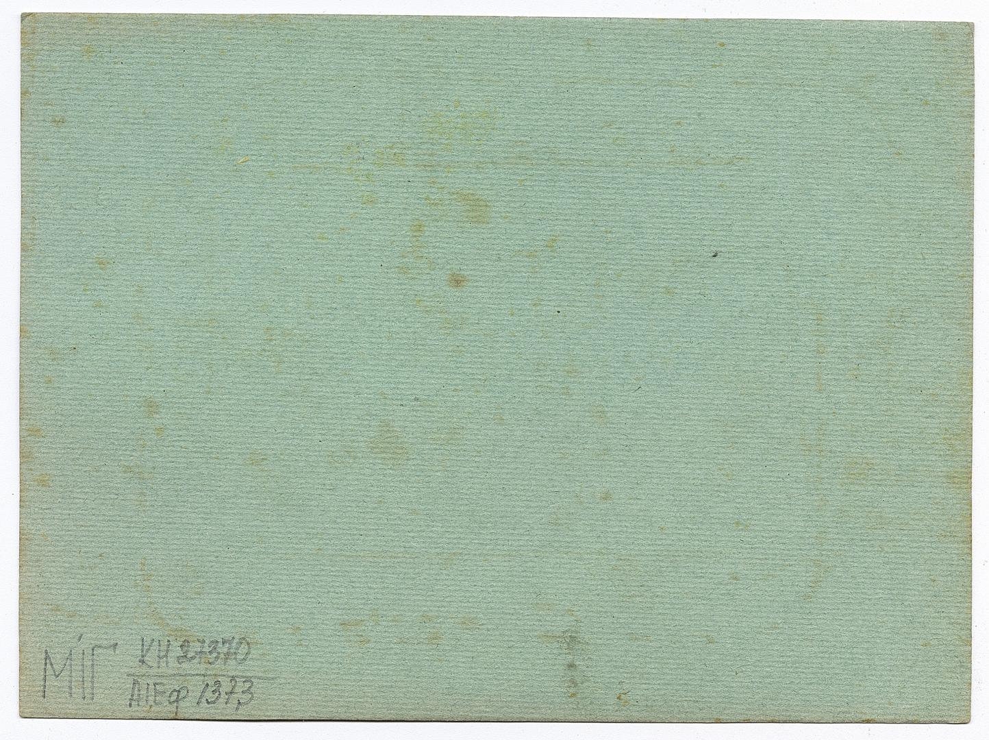 Group wedding photo against a green background