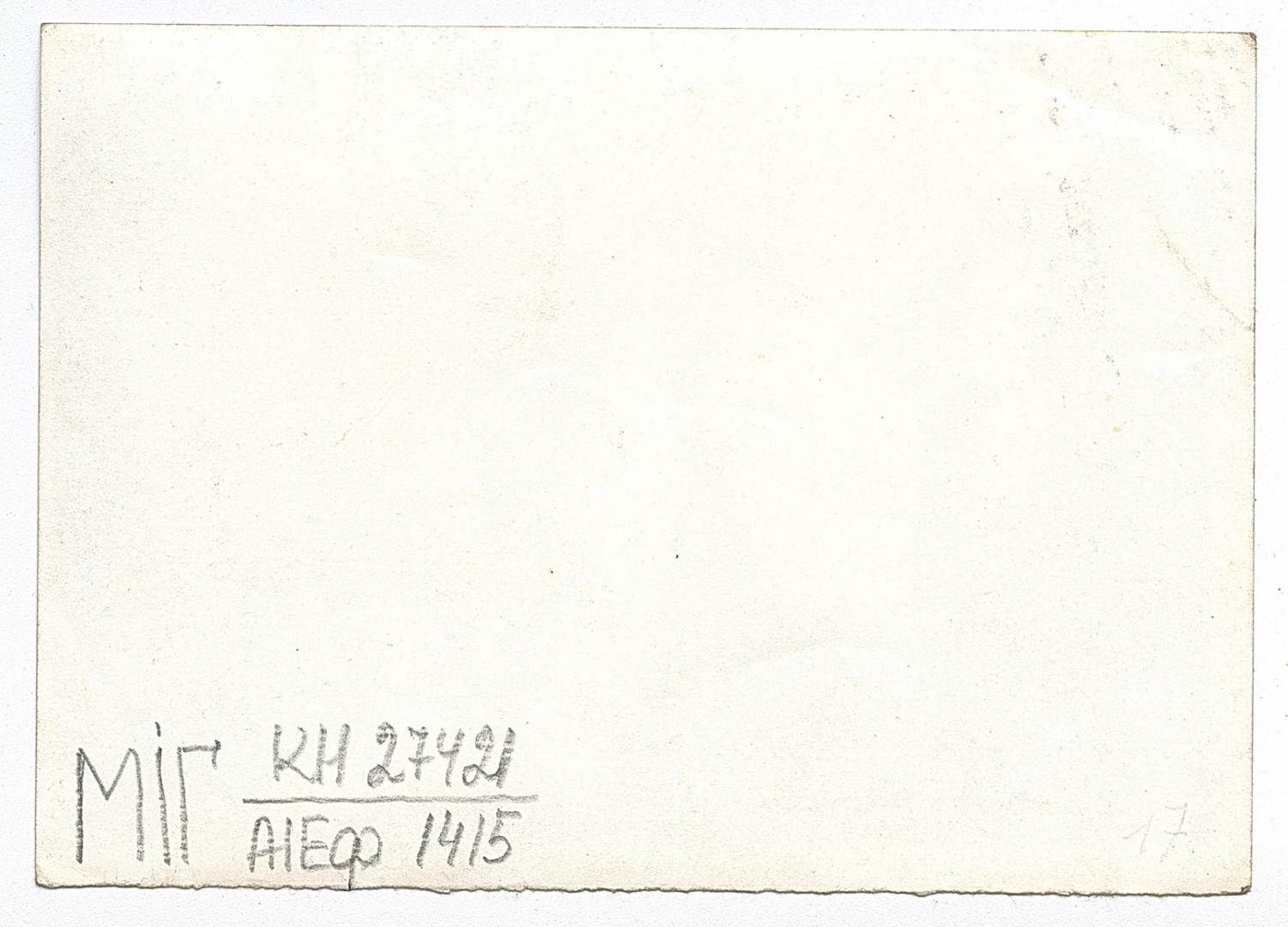 Wedding costumed performers