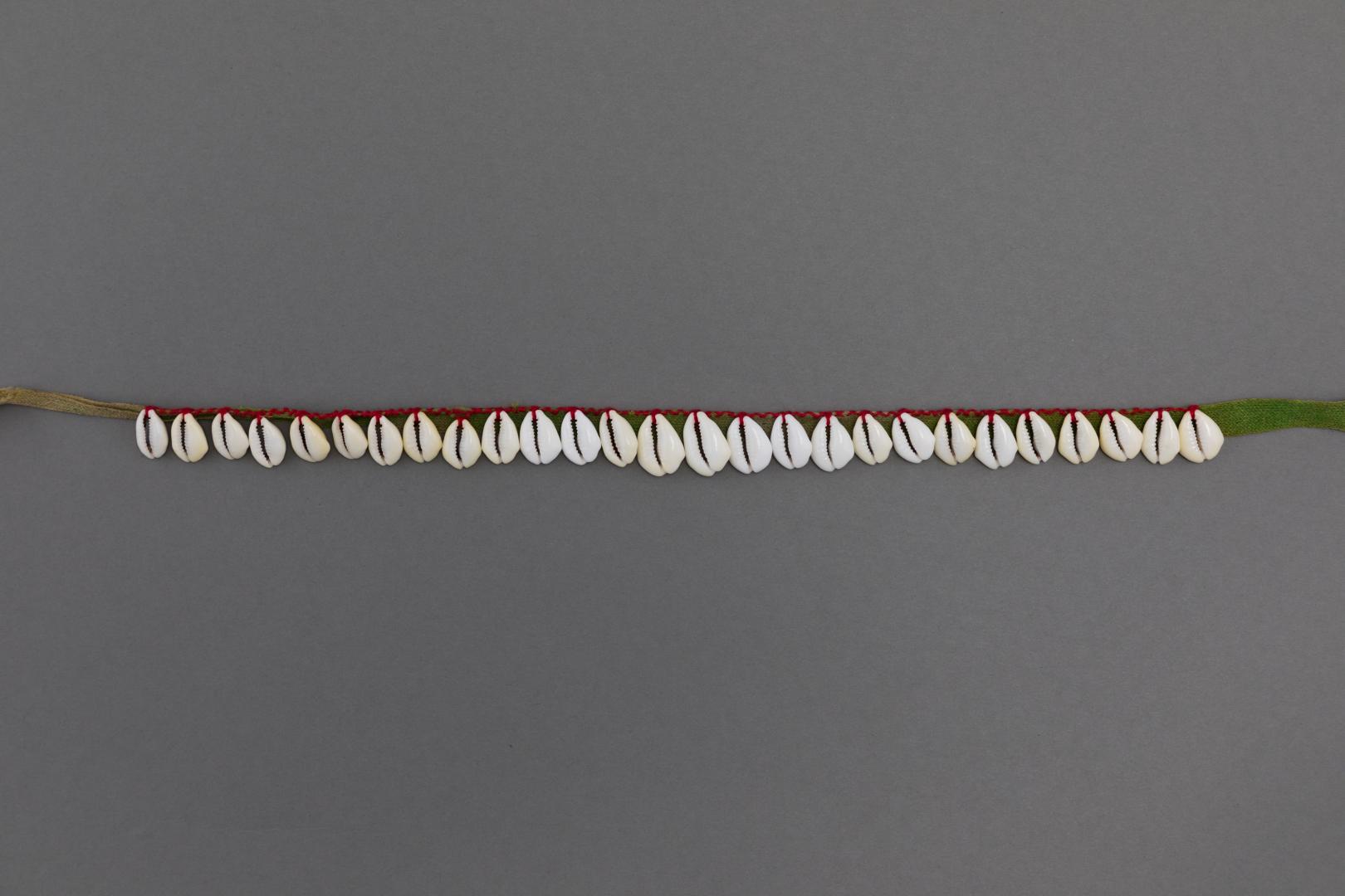 Cowrie shell necklace