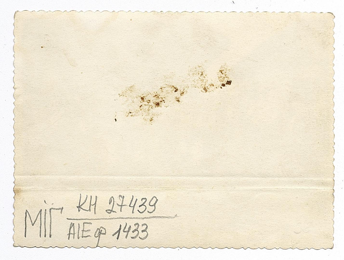 Гурт жінок у народному вбранні та чоловік-гармоніст