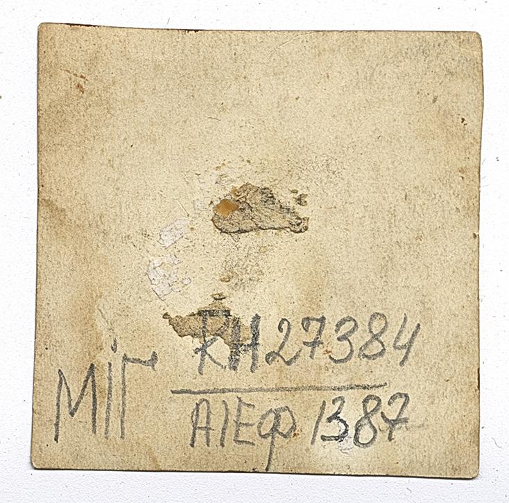 Woman in traditional attire