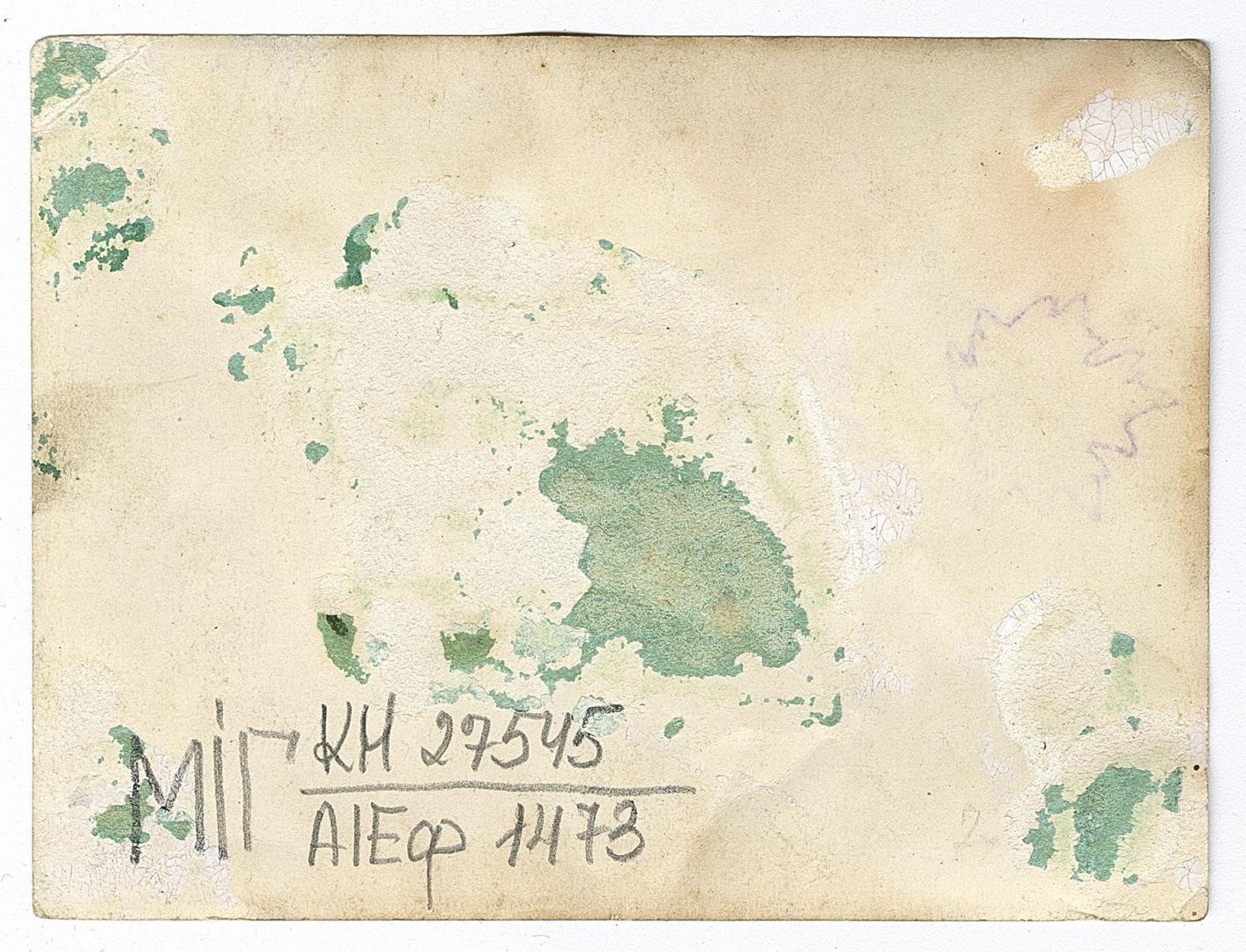 Group photo with a woman in traditional attire and a man belted with rushnyky