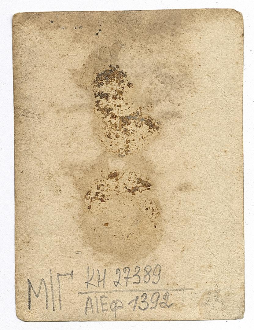 Bust portrait of a young man in a peaked cap