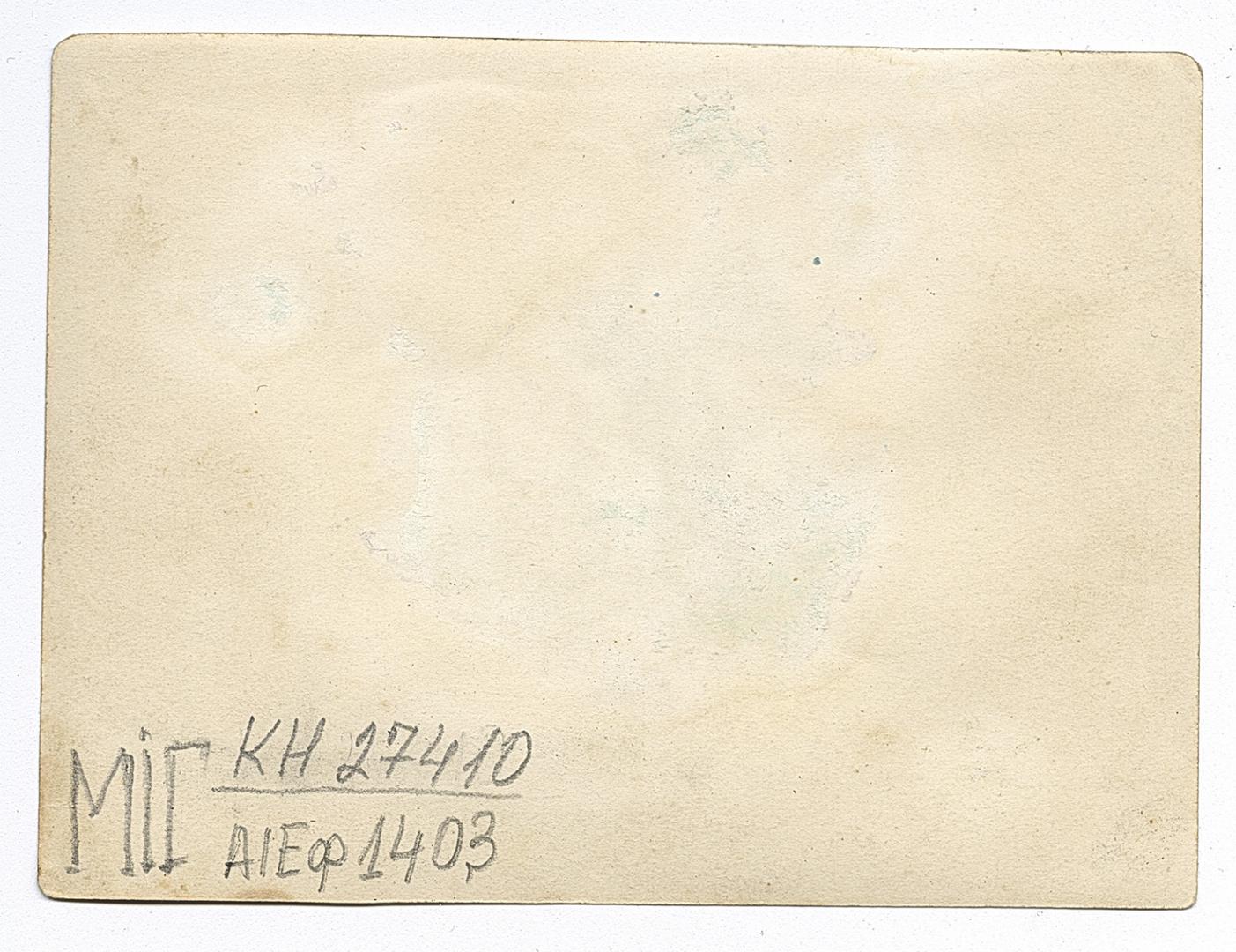 Весільний гурт під хатою 