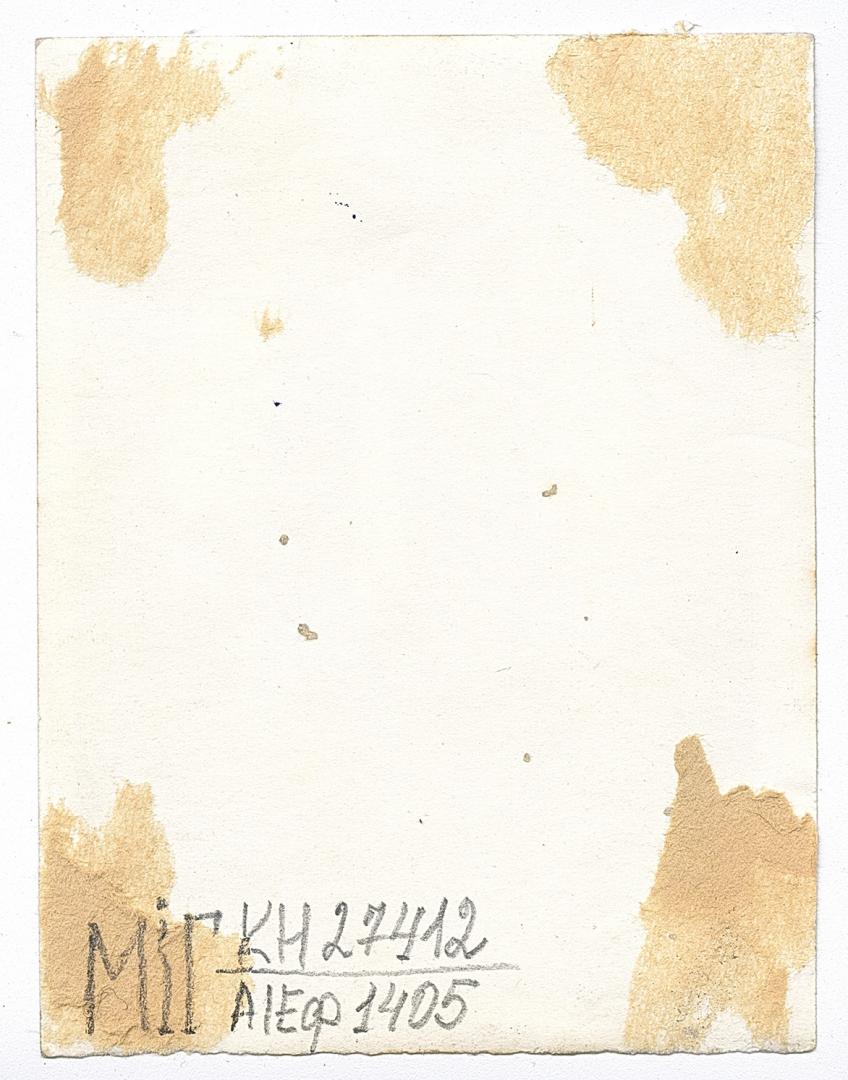 Дві жінки у народному вбранні