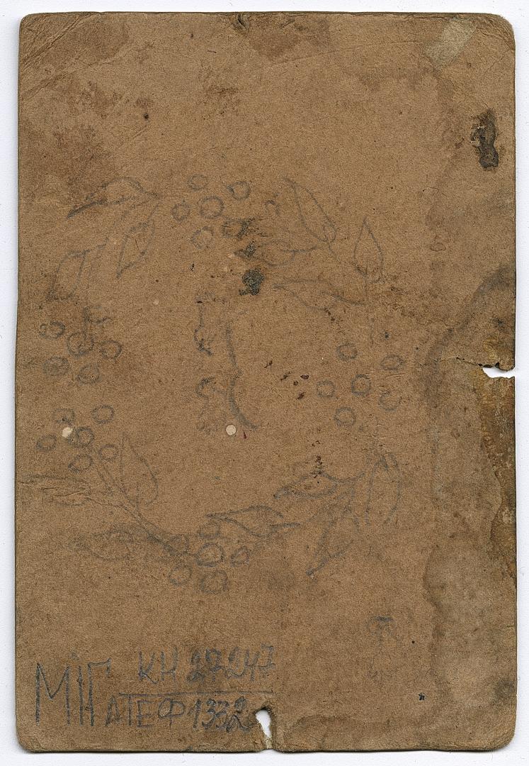 Man, woman, and two boys