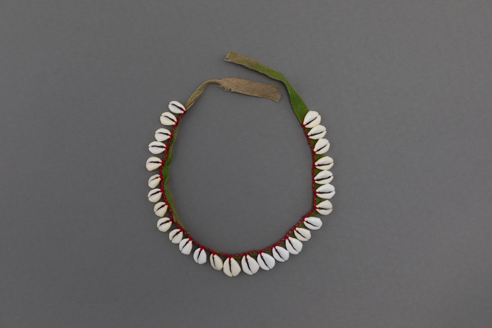 Cowrie shell necklace