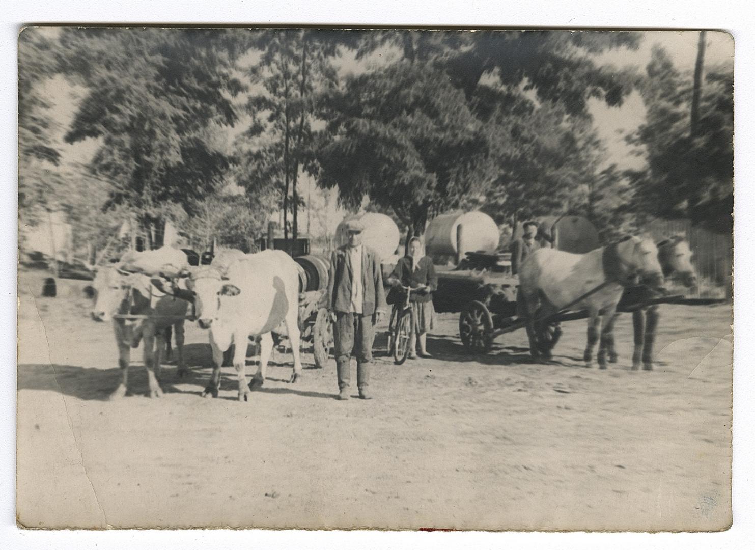 Чоловік біля упряжки волів, жінка з велосипедом та чоловік біля упряжки коней