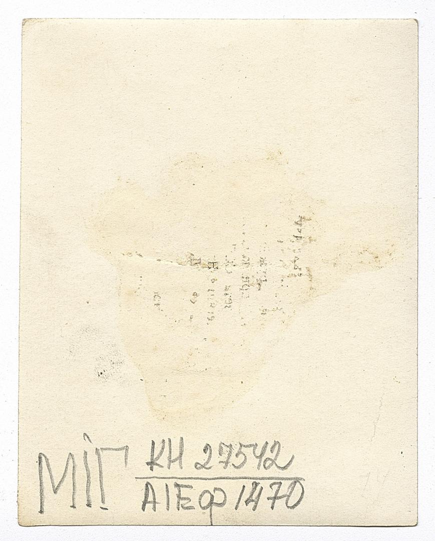 Girl in traditional attire