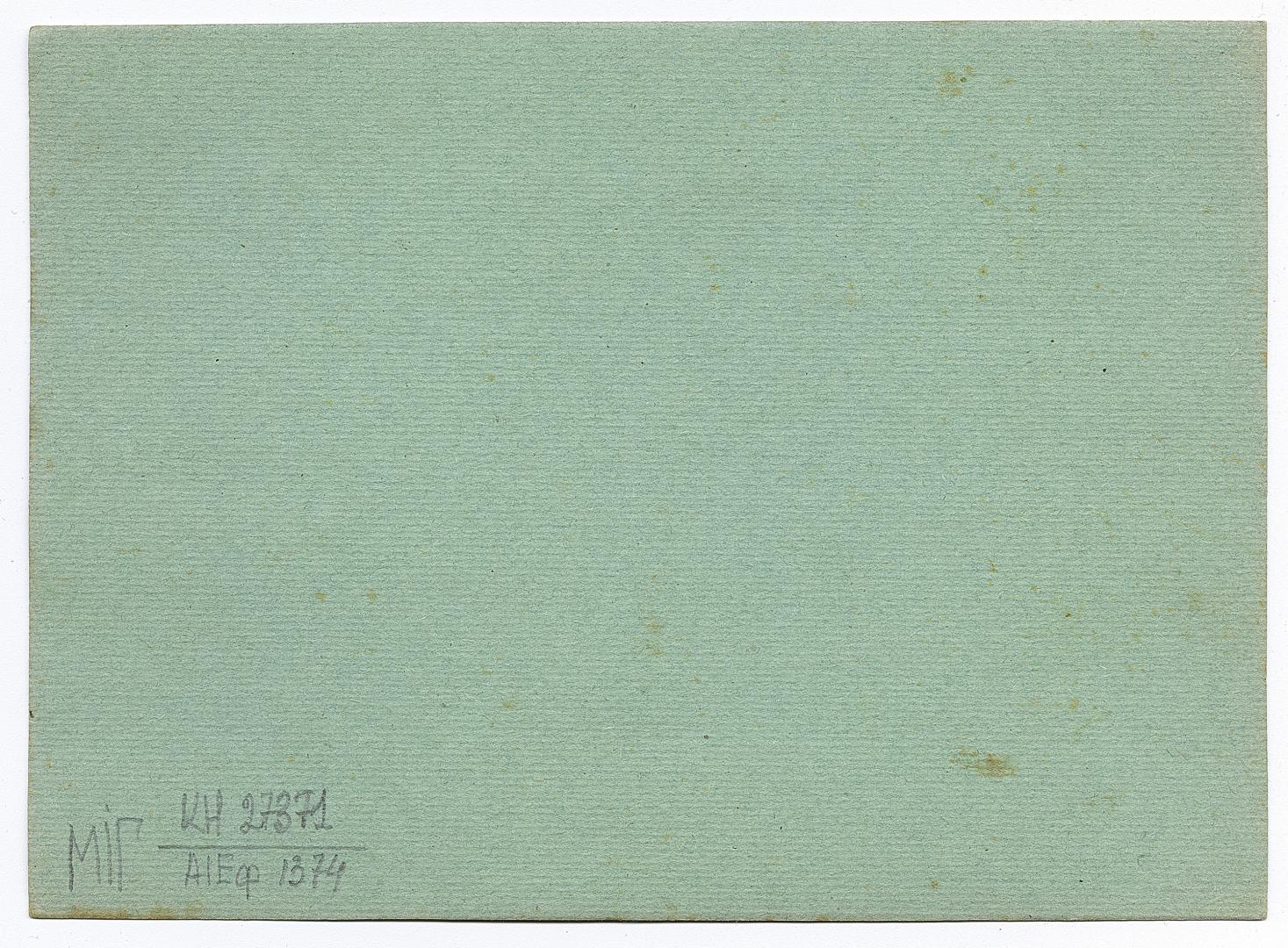 Групове весільне фото на тлі зелені