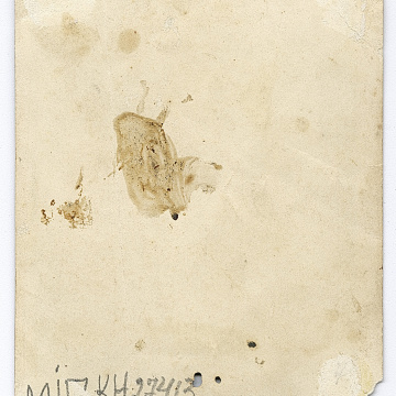 Three women, one in traditional attire and belted with a rushnyk