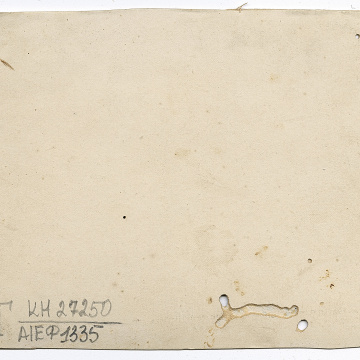 Група молодих жінок, дві у народному вбранні