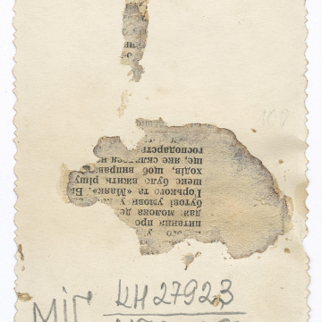 Весільна пара