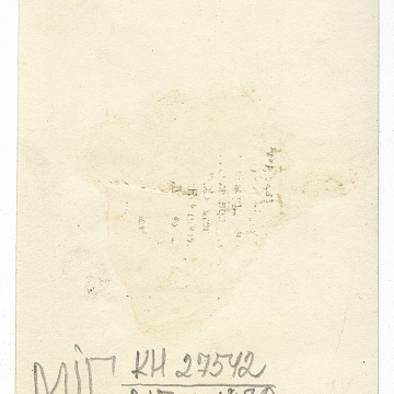 Girl in traditional attire