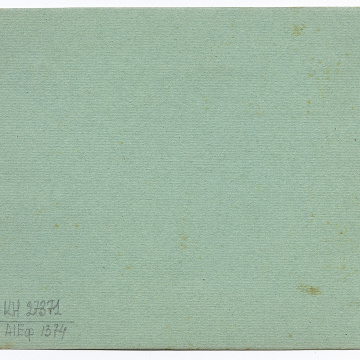 Групове весільне фото на тлі зелені