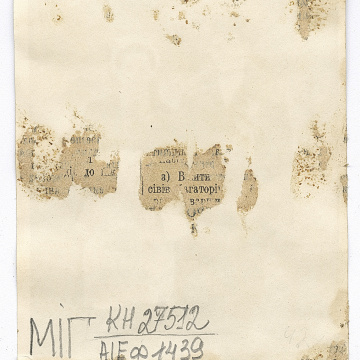 Весільна пара